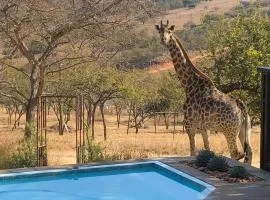 Khululeka Safaris Lodge