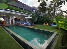 Nesara Villa