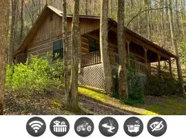 Little Mountain Hideaway cabin