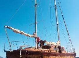 Old boat