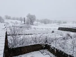 Un petit nid à la campagne