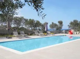 Tersanas Mare Yellow