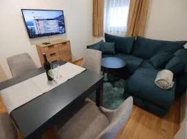 Srebrena Vila Apartman ELENA 5