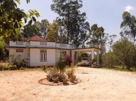 Savana Bungalow