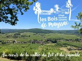 Camping - Village Vacances Familial à Prayssac au coeur du vignoble Lotois