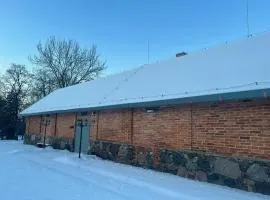Ledainė