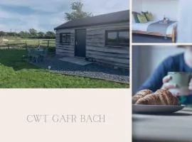 Cwt Gafr Bach