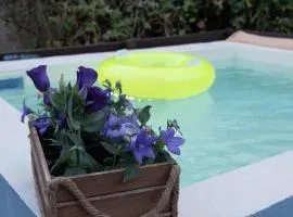 Dandy Villas Tsagkarada - Blue Pansy - Mini Pool