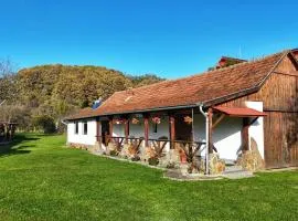 Casa de Peste Apă