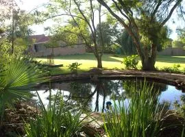 Ador Lodges