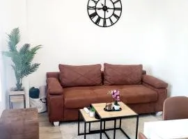 NINA 3 APARTMAN Stevana Ivanovica 3