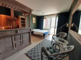 Rezidencia Radnica -ubytovanie- Old town, Unterkunft zur Selbstverpflegung in Ko&scaron;ice