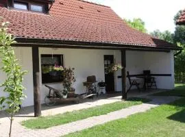 Appartement In Lütow Mit Grill