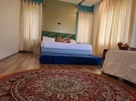Aerohome luxury stay