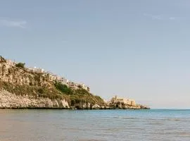 Hotel Degli Aranci