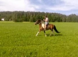 Wohnung In Bad Kötzting