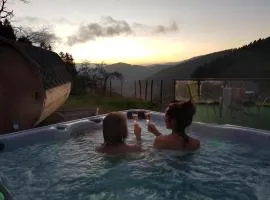 Fewo Mit Whirlpool Und Fass Sauna Im Schwarzwald