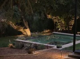 Topanga Canyon Oasis by Colby & Conrad