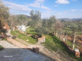Ali dede kamp karavan bungalow, bungalow in Selcuk