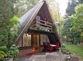 Rooftop House by Lake Dümmer with Terrace