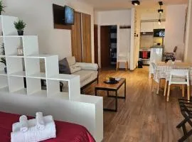 Amplio y hermoso departamento en Buenos Aires