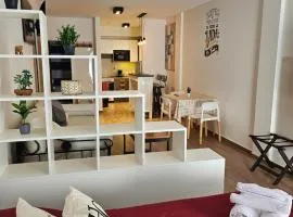 Amplio y hermoso departamento en Buenos Aires