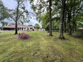 Résidence 105-st Vivien De Medoc - 105 - Superbe maison avec son grand parc verdoyant MAE-2871