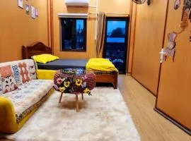 Cat homestay