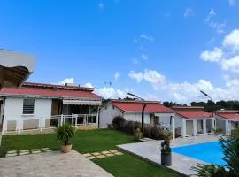 Les papillons Doré- Mango