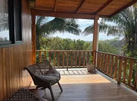 Ocean View Casita Playa Guiones
