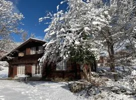 Ferienhaus Roth Flüehli, Hasliberg Goldern, 9-Betten