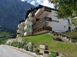 2,5 Zimmer Familienwohnung