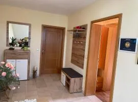 Appartement Ferienwohnung Panorama