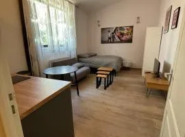 Suite Lyon Coeur Monplaisir