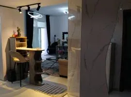 Stunning Studio in Ajman-UAE
