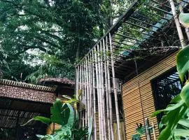 Vu's House