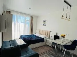 New Studio Apartment Near Beach & Boulevard