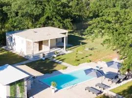 Pool House Paun