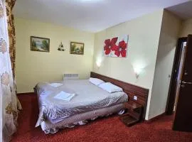 The Castle Mansarde on the slope 7 - Pamporovo