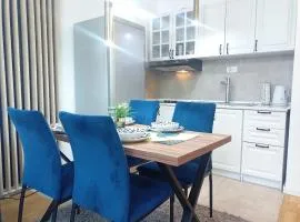 OPERA LUX APARTMENTS - Green Hill kompleks Sokobanja & Free Parking - kod Akva Parka