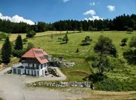 Haus Mit Whirlpool, Sauna Und Schwarzwaldblick