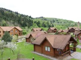 TAOR Karpaty Resort & Spa、スキュネイザのグランピング施設