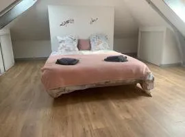Charmant appartement spacieux aux portes de Rennes