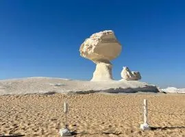 White Desert Safari With Camping