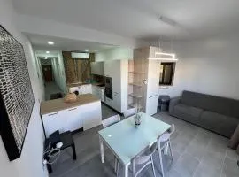 Triton Mansion D26 - Entire Unit