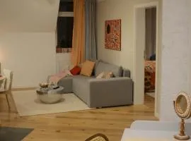 MSF Apartment Beiger Wolf