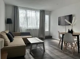 Appartement cosy à 5 min du centre-ville