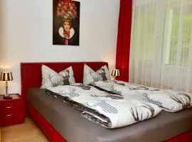 Appartement In Saig Mit Garten Und Grill