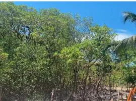 Raizes da Terra - Ponta do Corumbau