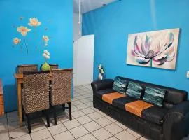 LOS SAUCES STUDIO